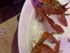 -红盔甲·小龙虾(车公庙店)