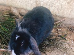 -武汉紫薇都市田园