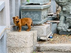 -东山风动石景区