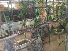 -荔城生鲜盛宴(番禺旗舰店)