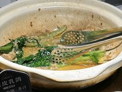 -三强鸽子(胜利路店)