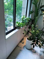 -魔型社烫染店