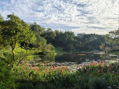 -云溪植物园