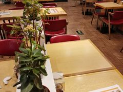 -麦梗手擀面水饺(麦梗前门店)