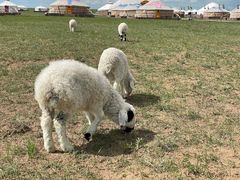 -呼和诺尔旅游景区