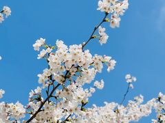 -龙美术馆(西岸馆)