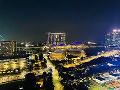 -新加坡瑞士史丹福酒店