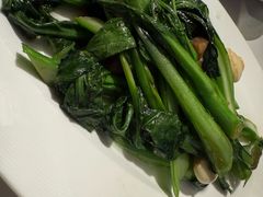 -荟廷·晶萃(陆家嘴尚悦湾店)