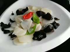 -云中小雅