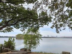 -东湖落雁景区