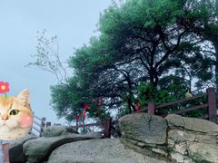 -缙云山景区