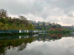 -重庆彩云湖湿地公园