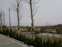 -石门坊
