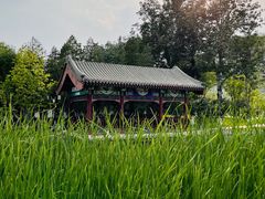 -西海子公园