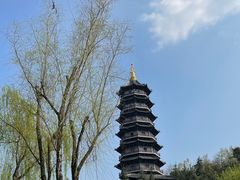 -重庆园博园