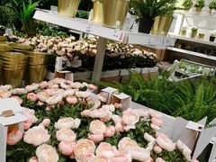 -宜家家居(西安未央商场店)