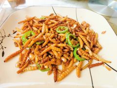 竹虫-长隆农庄