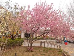 -田村(地铁站)