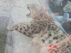 -青藏高原野生动物园