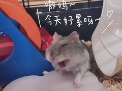 -吉林大学(前卫南区)