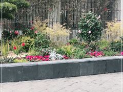 -上海天伦医院