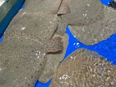 -映像威海·海鲜味道(经区店)