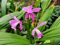 -国家植物园南园