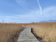 -野鸭湖国家湿地公园