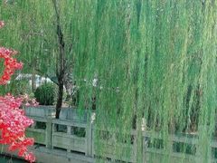 -吴越荣记苏州菜·松鼠桂鱼100%活鱼现做(斜塘老街店)