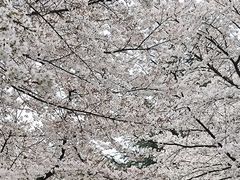 -杭州少年儿童公园