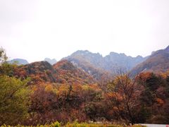 -秦岭风景区