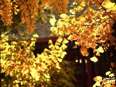 -红螺寺