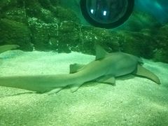 -常州海昌海洋探索馆