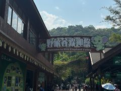 -野象谷景区