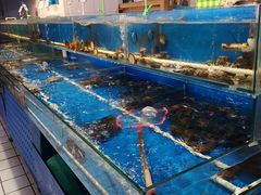 -物美大卖场(玉蜓桥店)