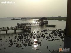 -碧海金沙
