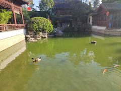 -祝家花園(伯渎港店)