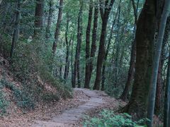 -西湖风景区十里琅珰-五云山