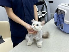 -拜鲁耶动物诊疗中心·宠家动物医院