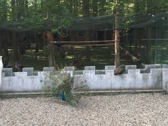 -南京金牛湖风景区