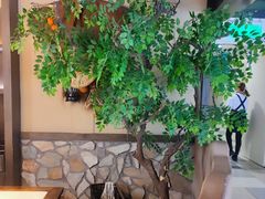 -纽斯特牛排自助餐厅(浦东文峰广场店)