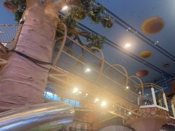 -卡通尼·Safari非洲探索乐园·生日会(金桥国际商业广场店)