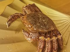 -蟹田居·活蟹料理(东城店)