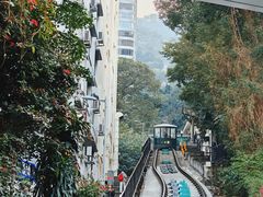 -太平山顶