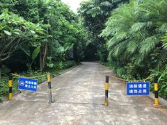 -海口观澜湖火山温泉谷