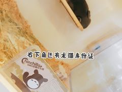 -龙猫仔乐园(惠福东路店)