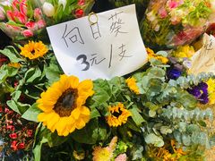 -双季花艺园艺市场(浦东店)