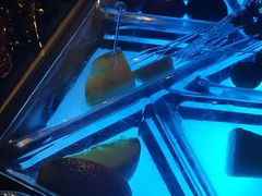 -PAPAYA CLUB 酒吧(深圳旗舰店)