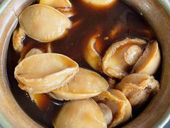 -大中鱼翅 Taitong Shark Fin