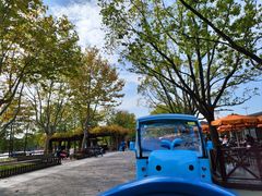 -上海野生动物园
